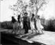 Thumb_sunny_side_14