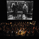 Gold_rush_at_philharmonie_m_nchen_square