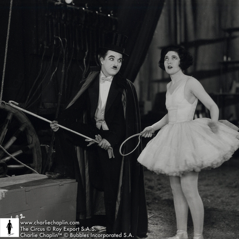 The Circus Roy Export S